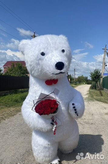 Поздравление от большого белого медведя