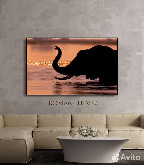 Картина слоны