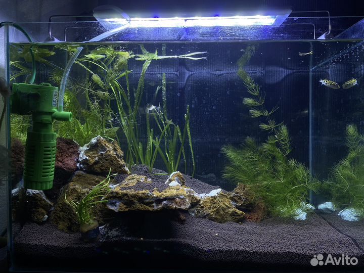 Аквариум