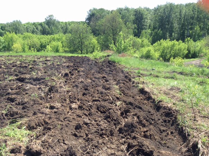 Участок 15 сот. (СНТ, ДНП)