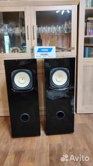 Акустические колонки на базе FostexFE206En