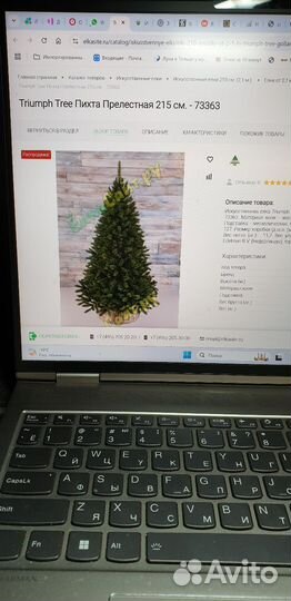 Ель Пихта прелестная Triumph Tree 215см