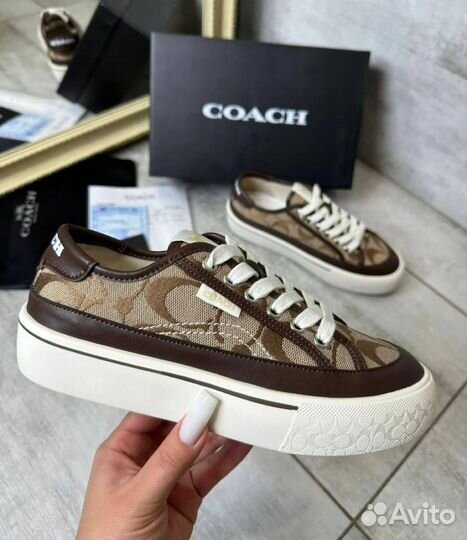 Кеды Coach