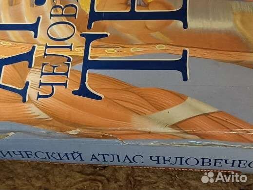 Атлас человеческого тела аст Астрель 2006