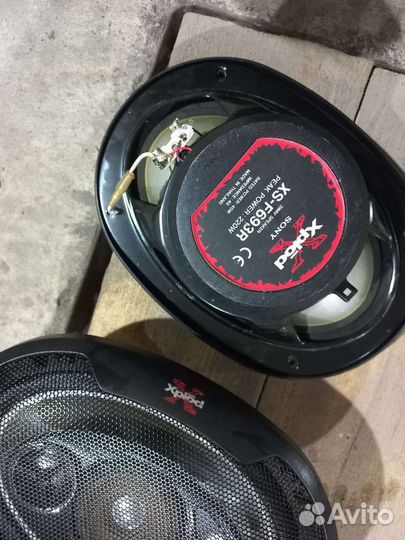 Динамики овалы Hertz