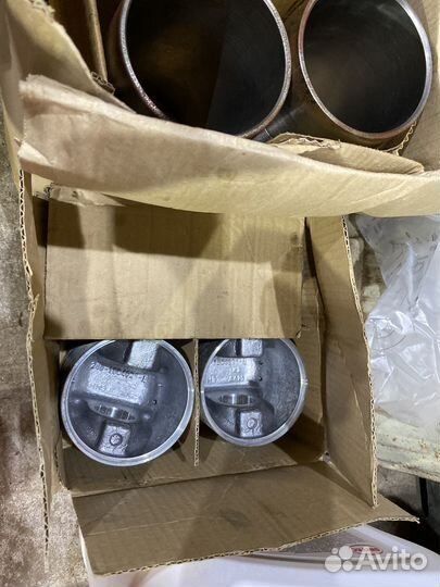 Поршневая группа мтз д240