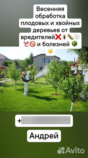Обрезка и обработка плодовых деревьев
