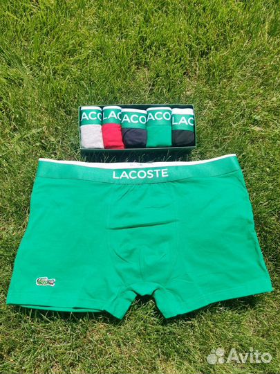 Трусы мужские lacoste