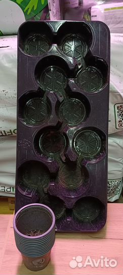 Комплект для выращивания рассады