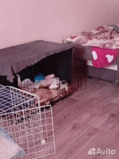 Клетка вольер для собак бу 76/46/53 см