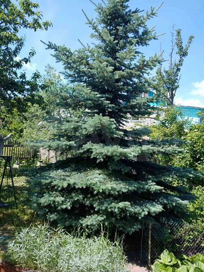 Дача 60 м² на участке 6 сот.