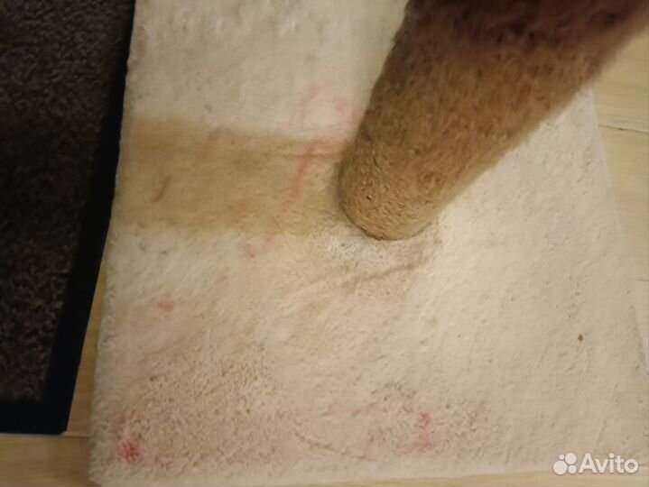 Когтеточка б/у