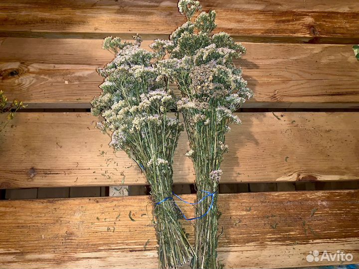 Банные веники (Дубовые, Берёзовые), лечебные травы