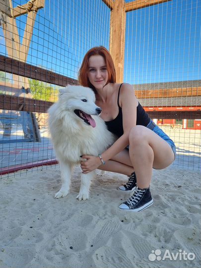 Администратор, продавец-кассир