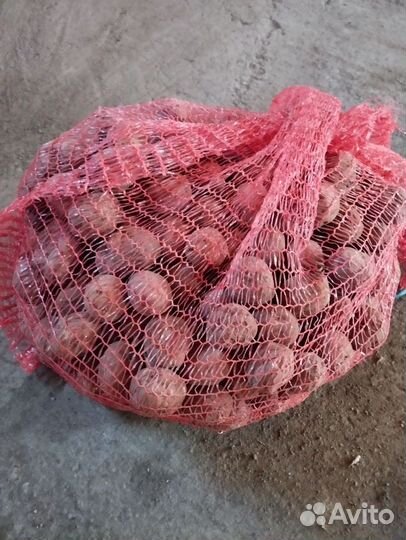 Продукты питания
