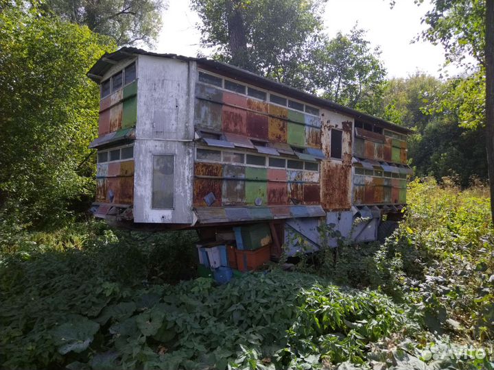 Павильон для пчел