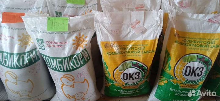 Богданович все виды