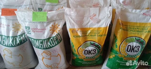 Богданович все виды