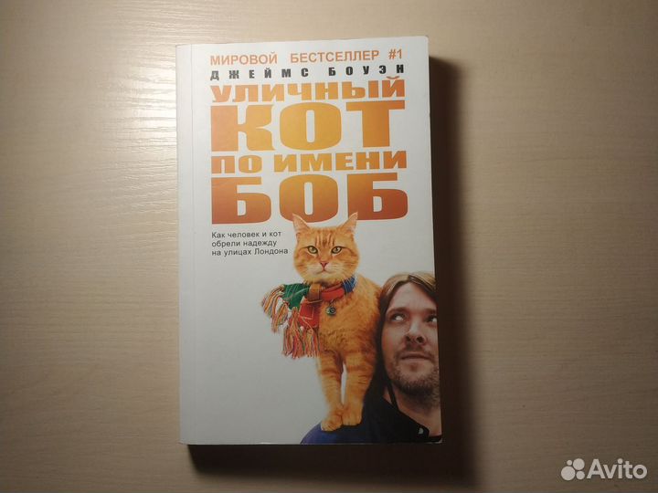 Уличный кот по имени Боб, Джеймс Боуэн