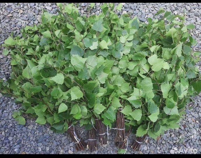 Веники для бани