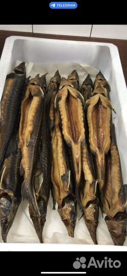 Копченая и вяленая рыба оптом