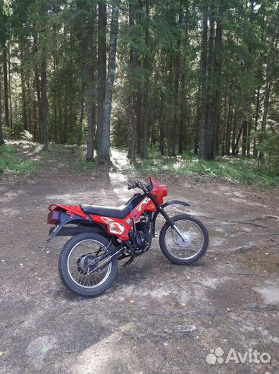 Зид Пилот 50