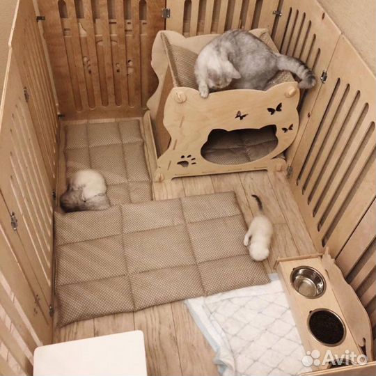 Лежанка когтеточка гамак для кошек