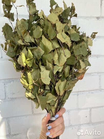 Березовый веник для бани