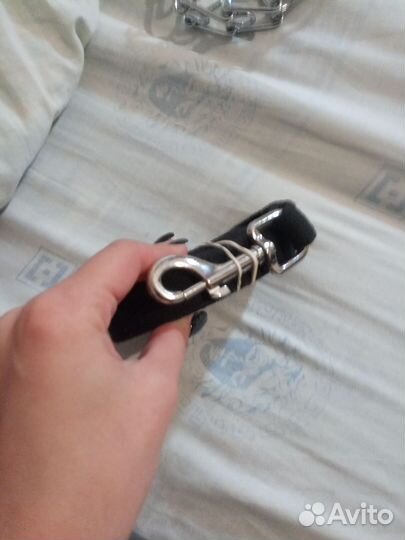 Поводок для собак