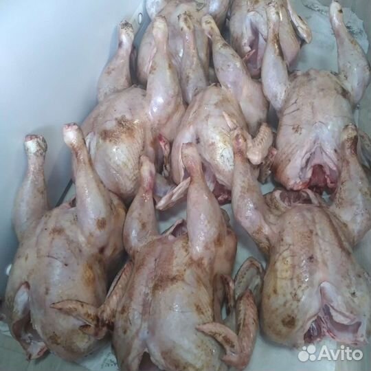 Мясо индюка,гуся