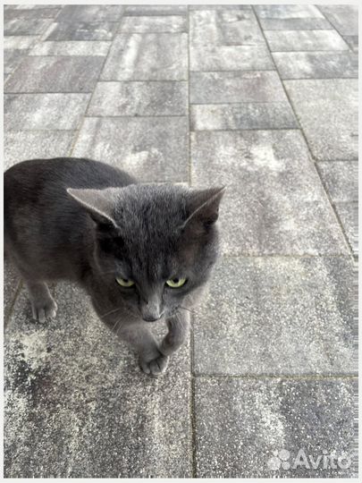 Тротуарная плитка #Производство #Доставка