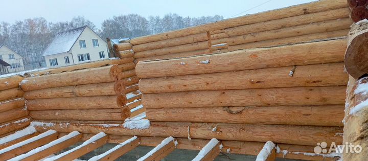 Срубы домов, бань, коттеджей под ключ с доставкой