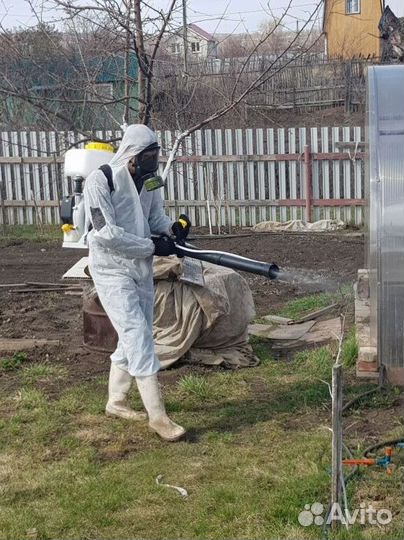 Уничтожение тараканов клопов клещей