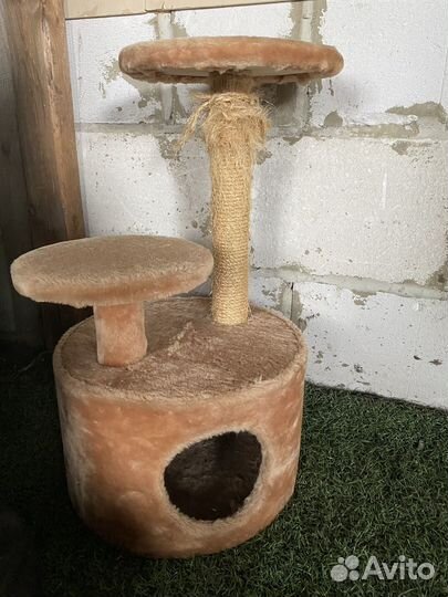 Домик для кошки бронь