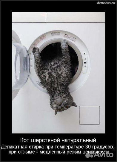 Ремонт стиральных посудомоечных машин на дому