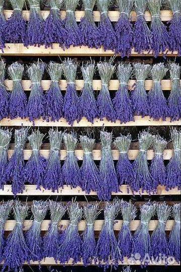 Гидролат лаванды,цветочная вода