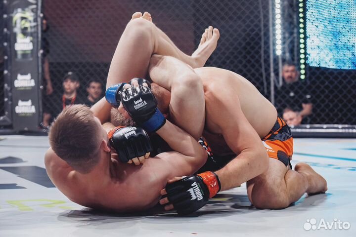 Индивидуальные тренировки: Бокс, Тайский бокс, мма