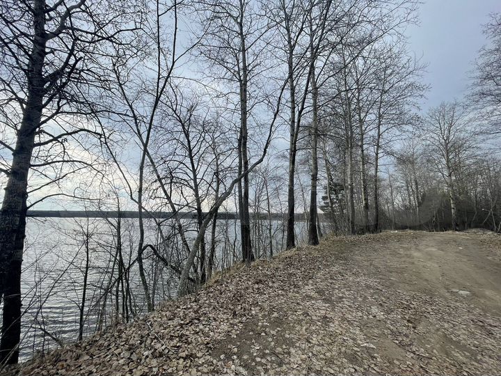 Участок 11,9 сот. (СНТ, ДНП)