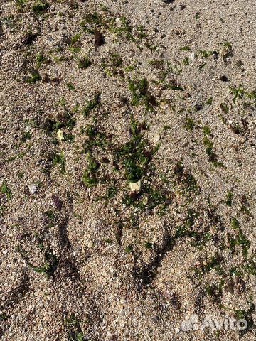 Вауумный пакет