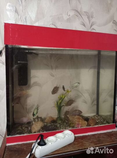 Аквариум