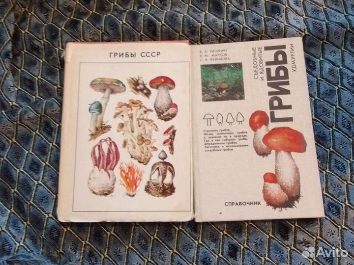 Книжка и про грибы