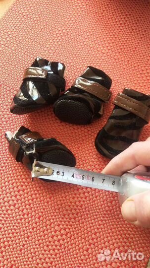 Ботинки для маленькой собаки