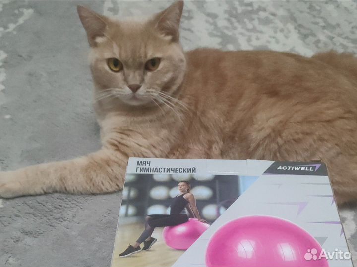 Мяч гимнастический 65 см