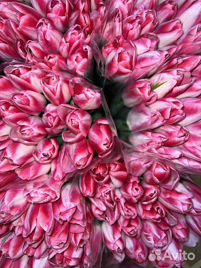 Тюльпаны к 8 марта оптом