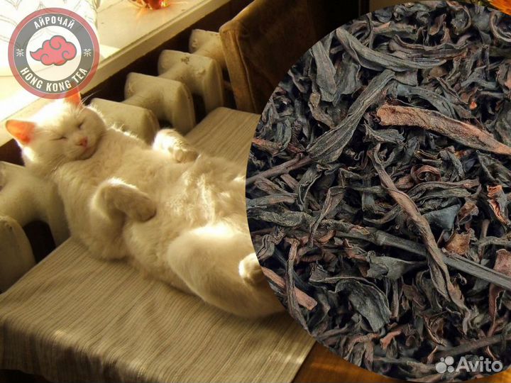 И он туда же Чай для работы и концентрации, дхп