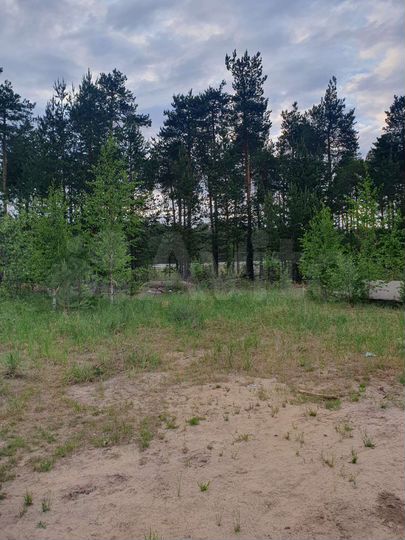 Участок 6,6 сот. (СНТ, ДНП)