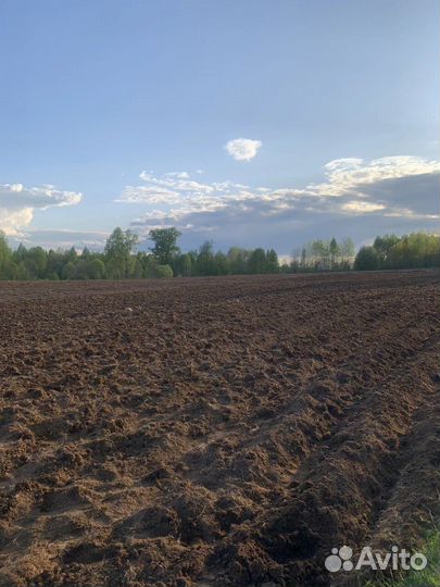 Инвестиции в сельское хозяйство 2023