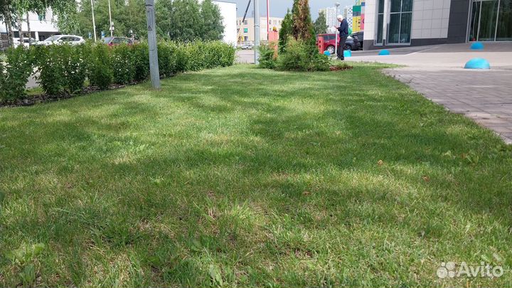 Газонокосильщик