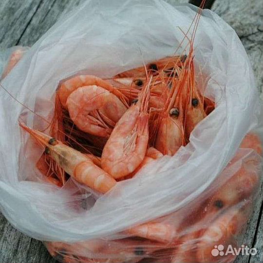 Форель радужная из Карелии