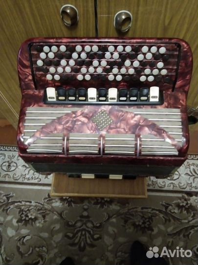 Баян weltmeister